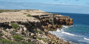 IMG_3127 (Truebridge Scenic Drive)