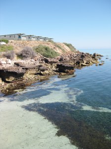 IMG_2927 (Point Turton)