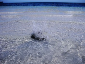 IMG_1539