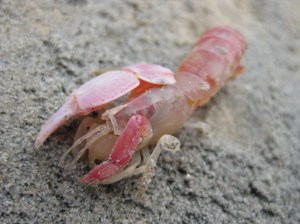 IMG_1553