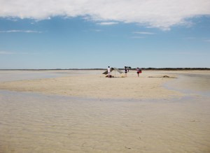IMG_1588
