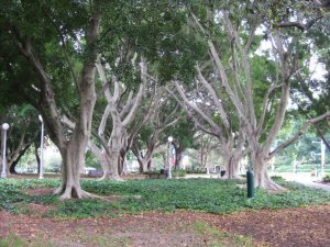 168221_10150123100838688_2898488_n