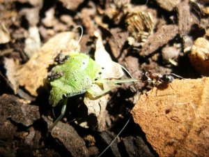 200412_10150153881748688_7756662_n