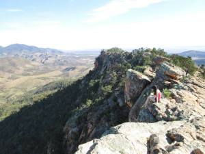 1382920_10152004151688688_1124189401_n