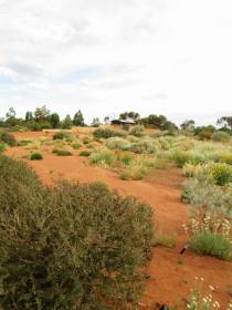 1395885_10152005888898688_2032739186_n