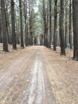 17264463_10155067881309664_6320098097196687251_n