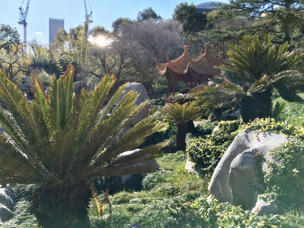 Photo 21-07-2018 1 20 24 PM.jpg