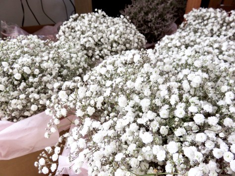 photo 19-01-2019 9 50 10 am