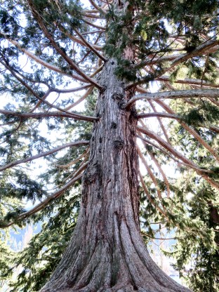 Photo 04-09-2018 11 06 58 AM.jpg