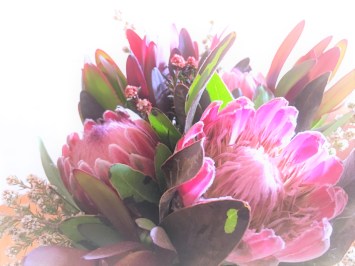 Photo 21-5-19, 8 57 51 am - Copy.jpg