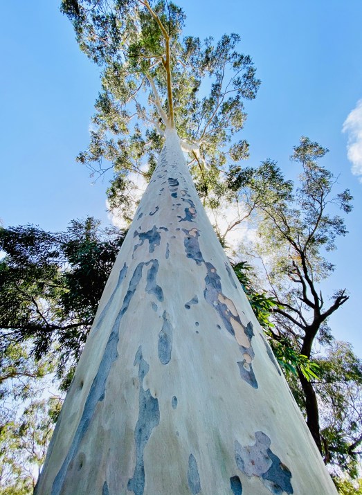 20200507_022149040_iOS